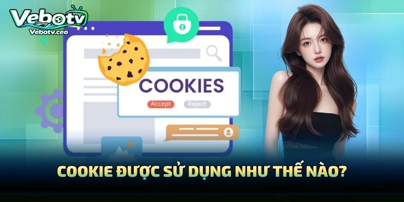 Cookie Được Sử Dụng Như Thế Nào?