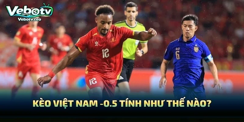 Kèo Việt Nam -0.5 Tính Như Thế Nào?
