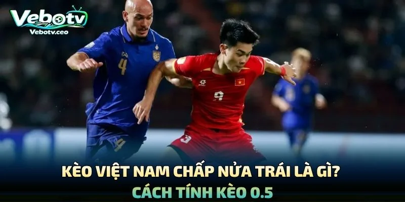 Kèo Việt Nam Chấp Nửa Trái Là Gì? Cách Tính Kèo 0.5