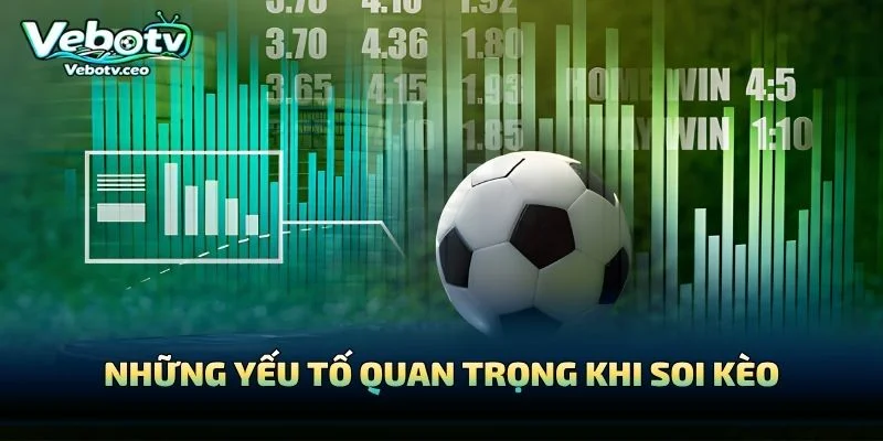 Những Yếu Tố Quan Trọng Khi Soi Kèo