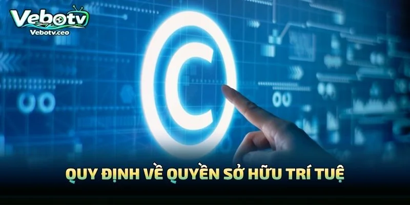 Quy Định Về Quyền Sở Hữu Trí Tuệ