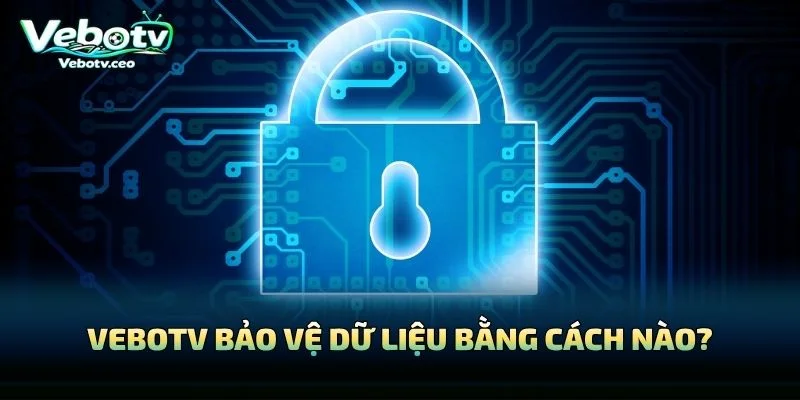 Vebotv Bảo Vệ Dữ Liệu Bằng Cách Nào?