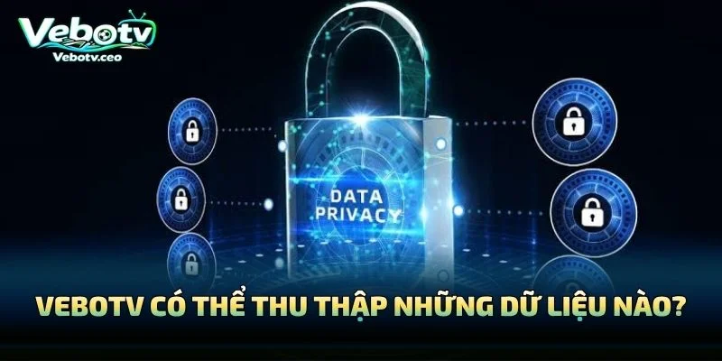 Vebotv Có Thể Thu Thập Những Dữ Liệu Nào?