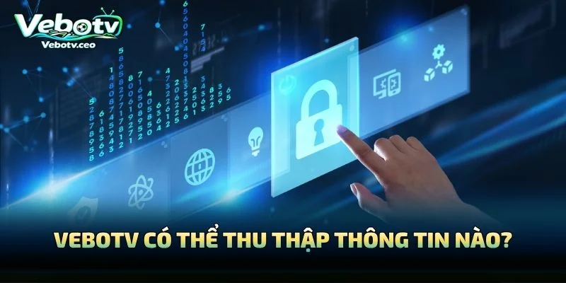 Vebotv Có Thể Thu Thập Thông Tin Nào?